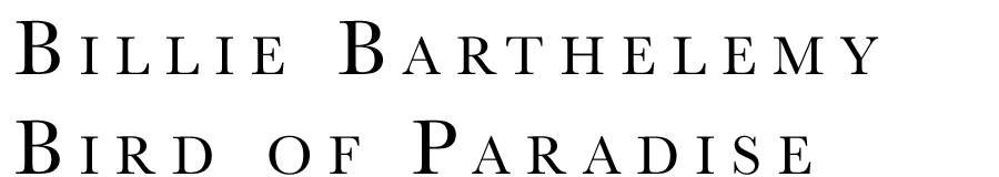 Welcome To Bird of Paradise Designs